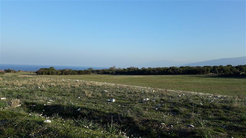 property-img